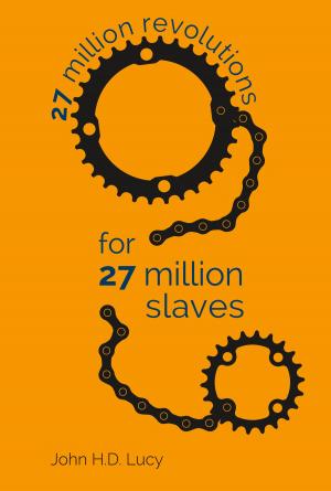 Cover of the book 27 Million Revolutions for 27 Million Slaves by Edward E. Morler MBA PhD