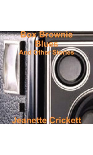 Cover of the book Box Brownie Blues by Janet Rowland