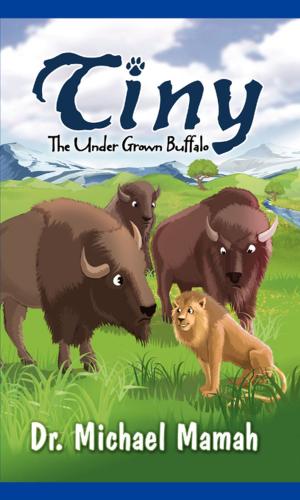 Cover of the book Tiny The Under Grown Buffalo by Jim Brodie