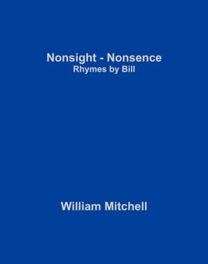 Cover of the book Nonsight - Nonsence by Michael Bertoldo
