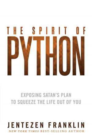 Cover of the book The Spirit of Python by Johnny Enlow