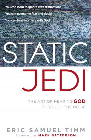 Cover of the book Static Jedi by Beth Shriver