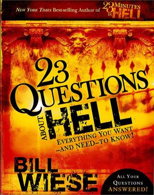 Cover of the book 23 Questions About Hell by Iris Delgado