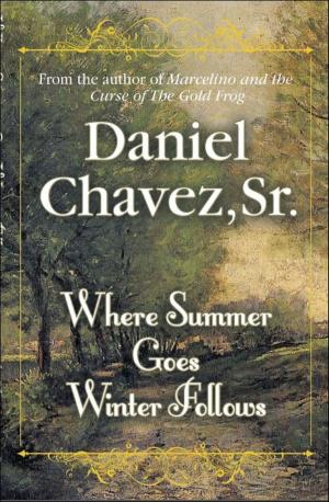 Book cover of Where Summer Goes Winter Follows