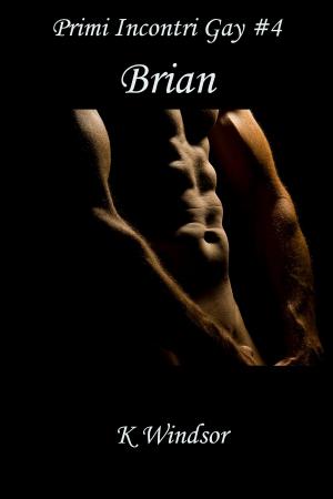 Cover of the book Primi Incontri Gay #4 by Seth Daniels