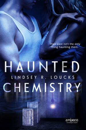 Cover of the book Haunted Chemistry by K.L. Zales