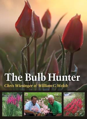 Cover of the book The Bulb Hunter by Jane Dunn Sibley