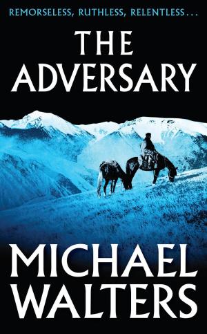 Cover of the book The Adversary by Michael Ruetz
