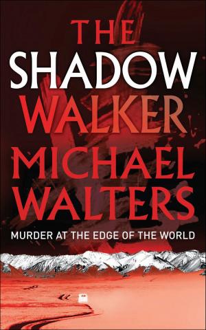 Cover of the book The Shadow Walker by Jay Rayl