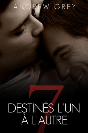 Cover of the book Destinés l’un à l’autre by Brandon Witt