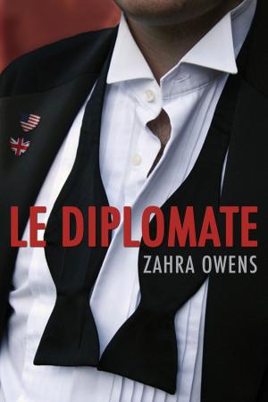 Cover of the book Le diplomate by Ariel Tachna