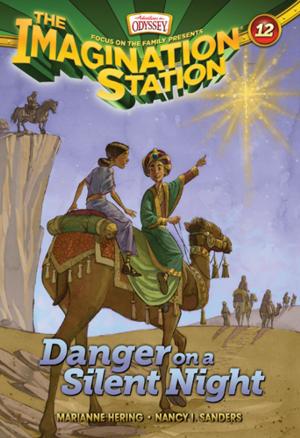 Cover of the book Danger on a Silent Night by Jim Daly, Jean Daly