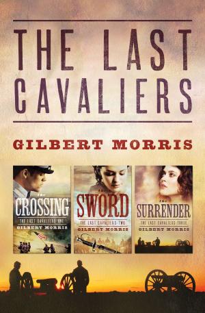 Cover of the book Last Cavaliers Trilogy by Pamela Griffin