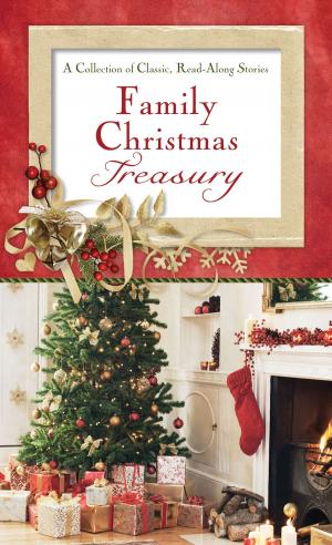 Cover of the book Family Christmas Treasury by Bonnie Blythe, Pamela Griffin, Kelly Eileen Hake, Gail Gaymer Martin, Tamela Hancock Murray, Jill Stengl