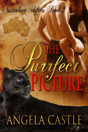 Book cover of The Purrfect Picture