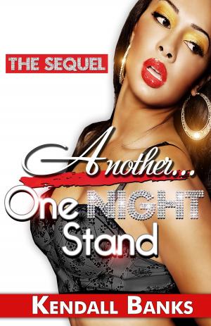 Cover of the book Another One Night Stand by KL Davis