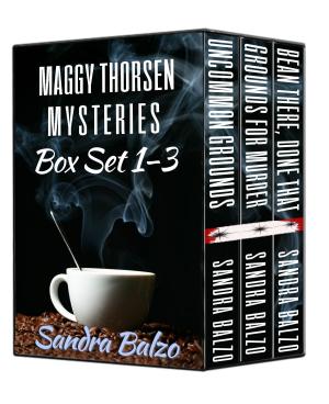 Book cover of Maggy Thorsen Mysteries Box Set 1-3
