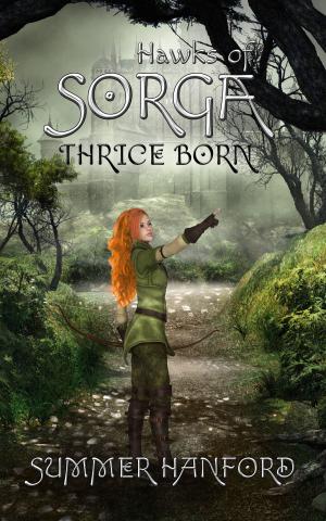 Cover of the book Hawks of Sorga: Thrice Born by Susan Eubanks Stepp