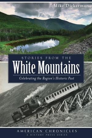 Cover of the book Stories from the White Mountains by Janis Leach Franco