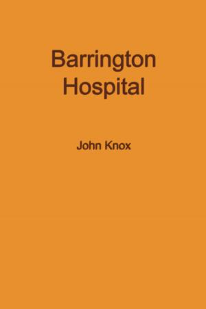 Cover of the book Barrington Hospital by A. R. Alan