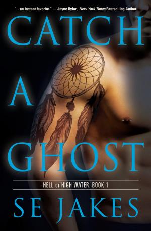 Cover of the book Catch a Ghost by Quinn Anderson