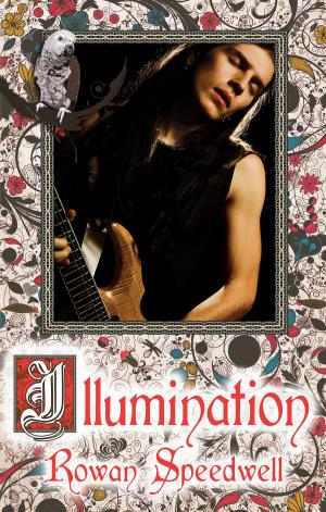 Cover of the book Illumination by Rachel Haimowitz, Heidi Belleau