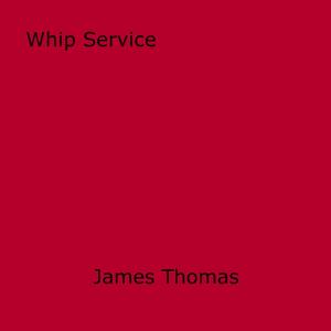 Cover of the book Whip Service by Chastity Bell