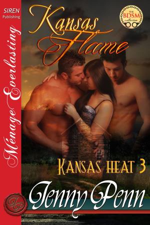 Cover of the book Kansas Flame by Elizabeth Morgan