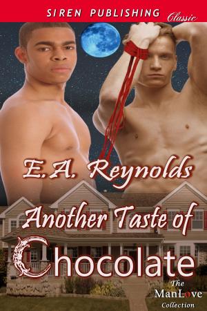 Cover of the book Another Taste of Chocolate by Lynn Stark