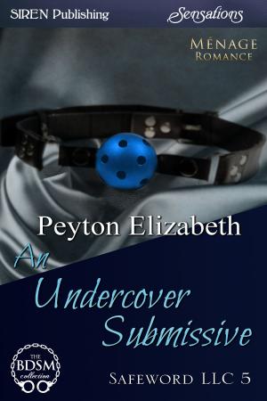 Cover of the book An Undercover Submissive by Tymber Dalton