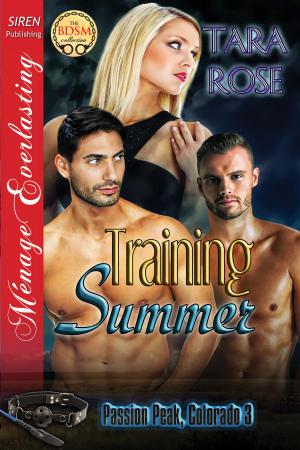 Cover of the book Training Summer by Fel Fern