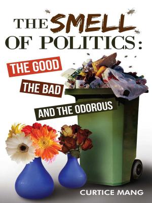Cover of the book The Smell of Politics by Mary Elisabeth Braddon