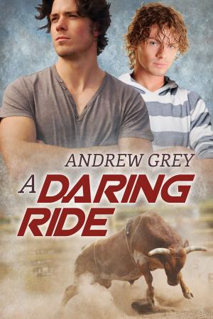 Cover of the book A Daring Ride by Sue Brown