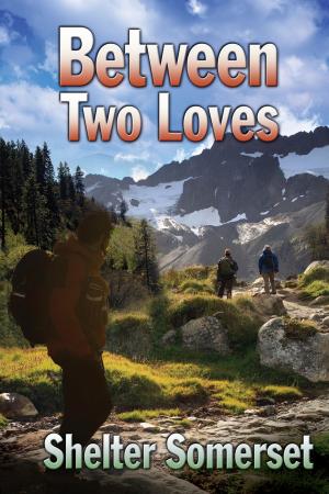 Cover of the book Between Two Loves by Susan Laine