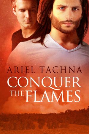 bigCover of the book Conquer the Flames by 