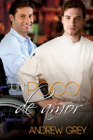 Cover of the book Un poco de amor by Amédée Achard