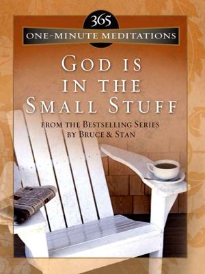 Cover of the book 365 One-Minute Meditations from God Is in the Small Stuff by Diana Lesire Brandmeyer, Amanda Cabot, Lisa Carter, Ramona K. Cecil, Lynn A. Coleman, Susanne Dietze, Kim Vogel Sawyer, Connie Stevens, Liz Tolsma
