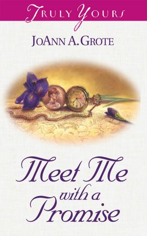 Book cover of Meet Me With A Promise
