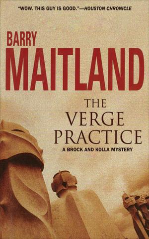 Cover of the book The Verge Practice by Val Brains