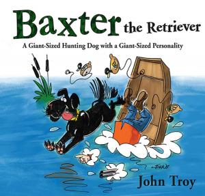 Book cover of Baxter the Retriever
