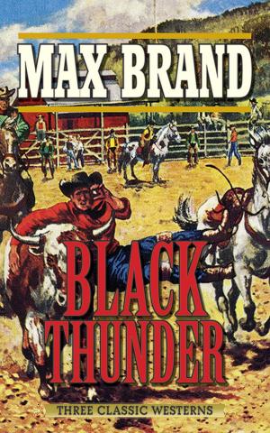 Cover of the book Black Thunder by James Charlesworth