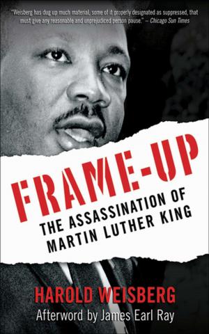 Cover of the book Frame-Up by Chris Angus