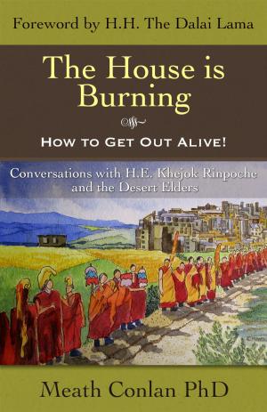 bigCover of the book The House is Burning - How to Get Out Alive! by 