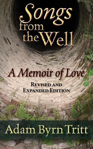 Cover of Songs from the Well