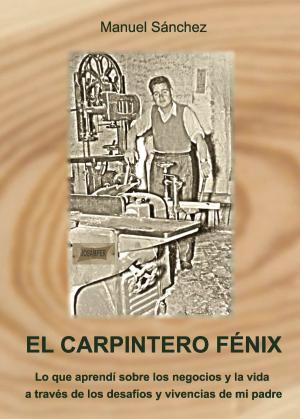 Cover of the book El carpintero Fénix by Yolanda del  Nozal