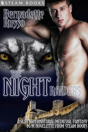Book cover of The Night Raiders - A Sexy Supernatural Medieval Fantasy M/M Novelette From Steam Books