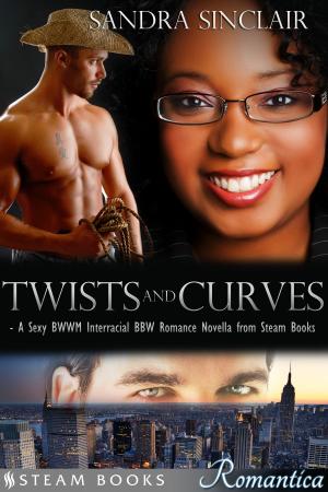 Cover of the book Twists and Curves - A Sexy BWWM Interracial BBW Romance Novella from Steam Books by Sandra Sinclair, Logan Woods, Dara Tulen