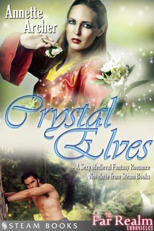 Cover of the book Crystal Elves - A Sexy Medieval Fantasy Romance Novelette From Steam Books by Annette Archer, Steam Books