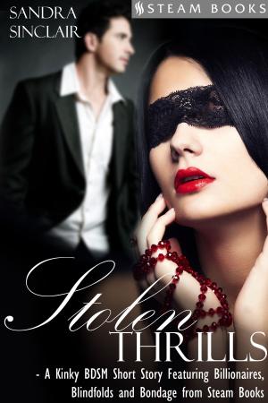 Cover of the book Stolen Thrills - A Kinky BDSM Short Story Featuring Billionaires and Bondage from Steam Books by Sandra Sinclair, Steam Books