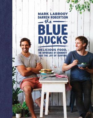 Cover of the book The Blue Ducks by Chris Stinson, Christine Stinson